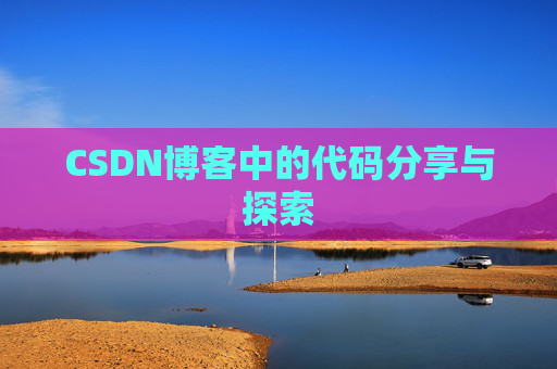CSDN博客中的代码分享与探索